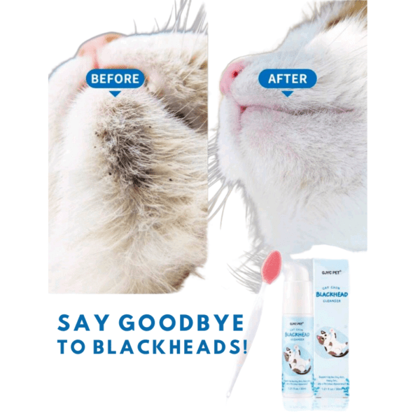 cat chin brush