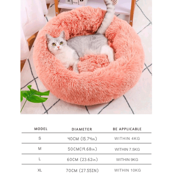 pet couch