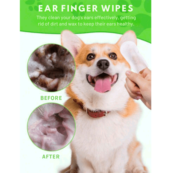 pet ear cleaner