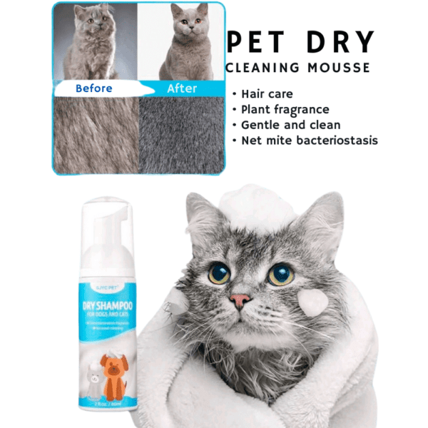 pet dry shampoo