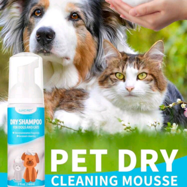 pet dry shampoo