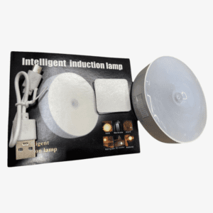 intelligent induction light