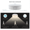 intelligent induction light