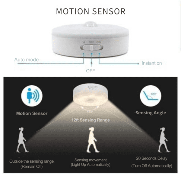 intelligent induction light