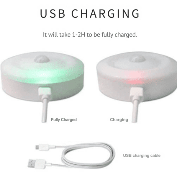 intelligent induction light